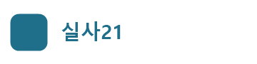 실사21